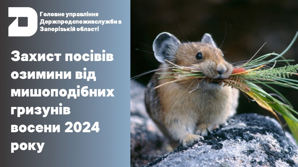 Головне управління Держпродспоживслужбив Запорізькій області