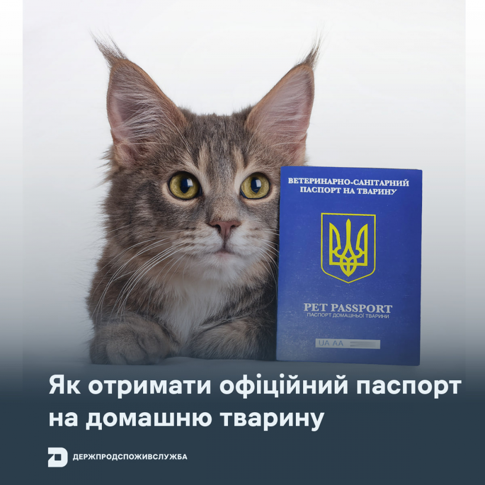 Головне управління Держпродспоживслужбив Запорізькій області