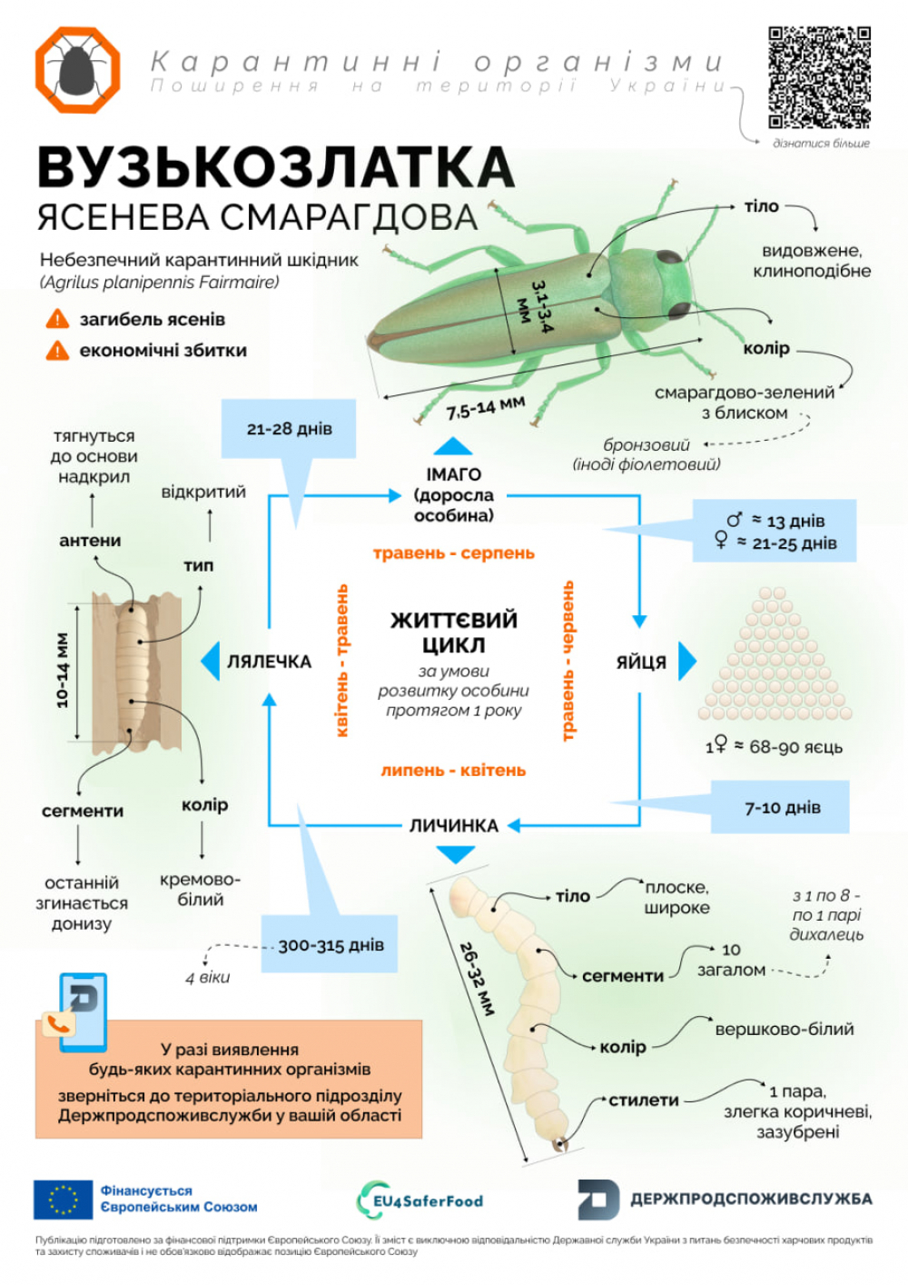 Головне управління Держпродспоживслужбив Запорізькій області