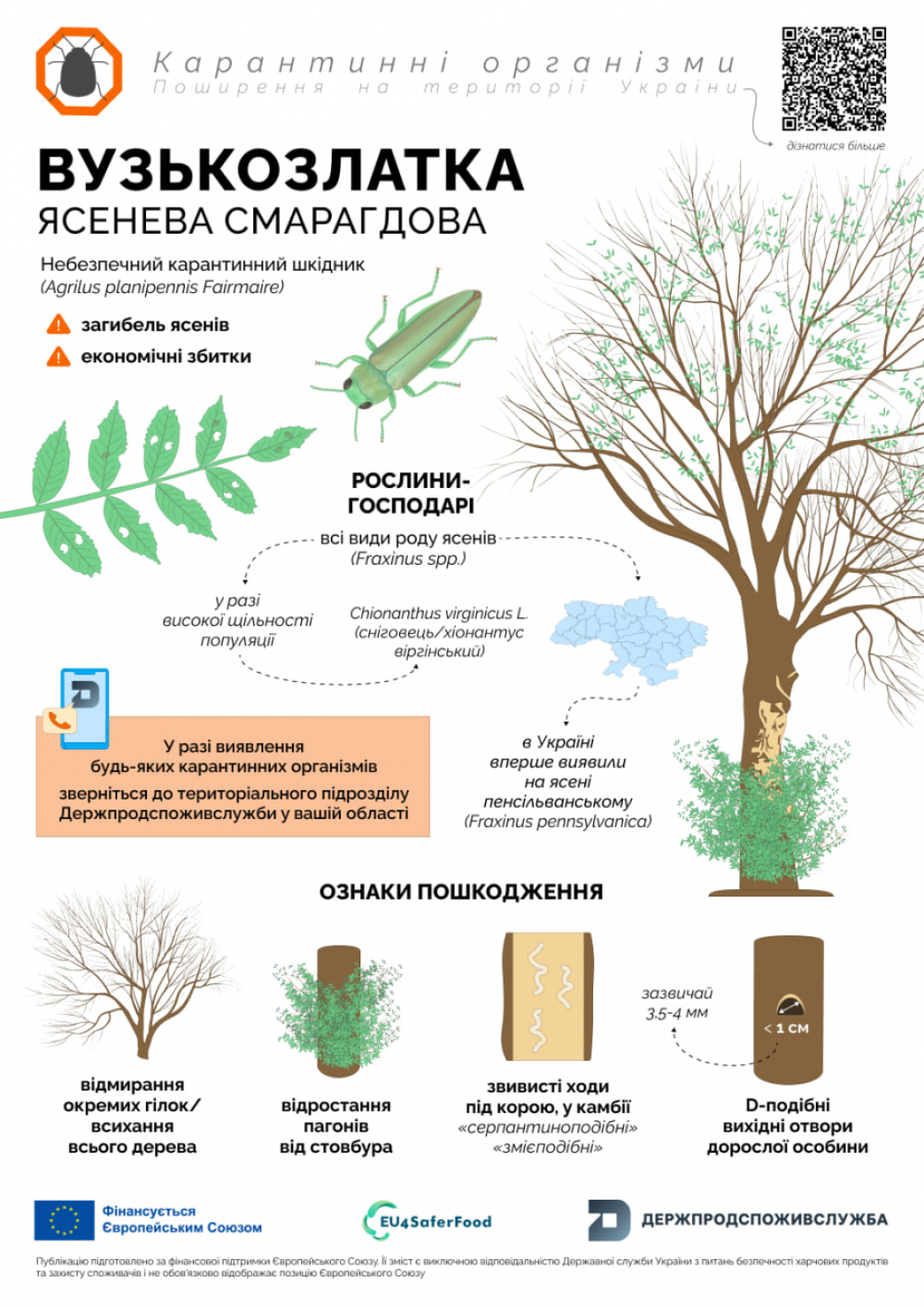 Головне управління Держпродспоживслужбив Запорізькій області