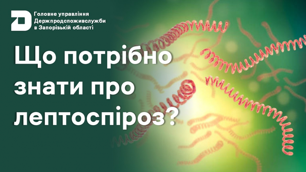 Головне управління Держпродспоживслужбив Запорізькій області
