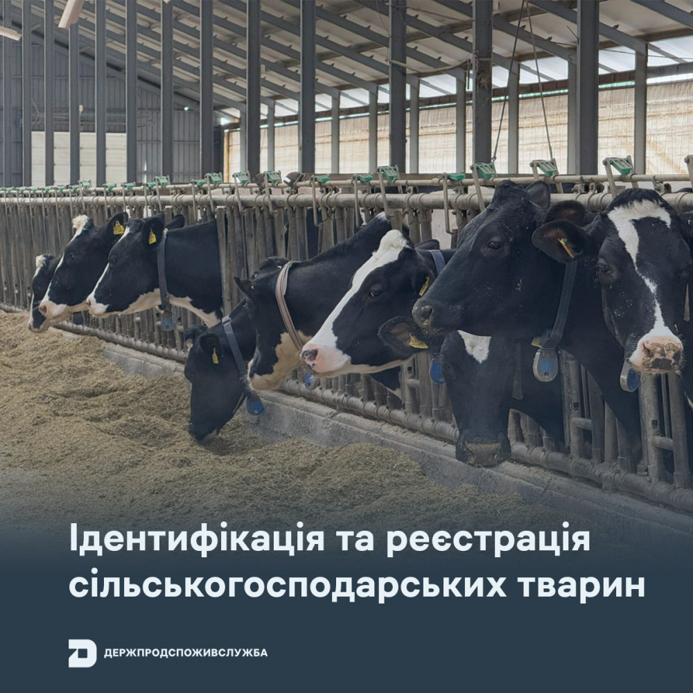 Головне управління Держпродспоживслужбив Запорізькій області