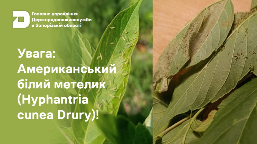 Головне управління Держпродспоживслужбив Запорізькій області