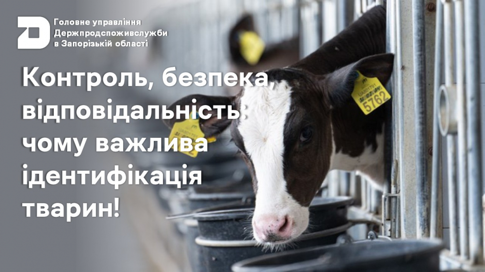 Головне управління Держпродспоживслужбив Запорізькій області