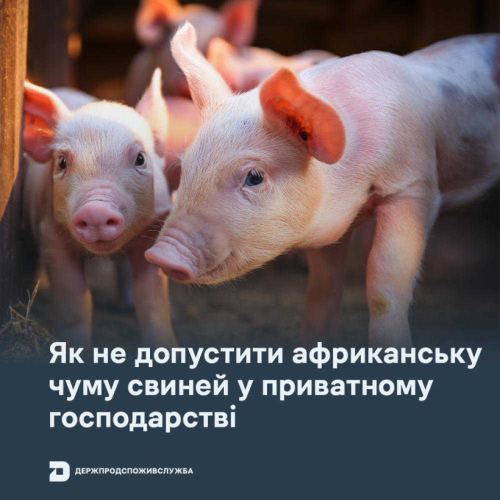 Головне управління Держпродспоживслужбив Запорізькій області