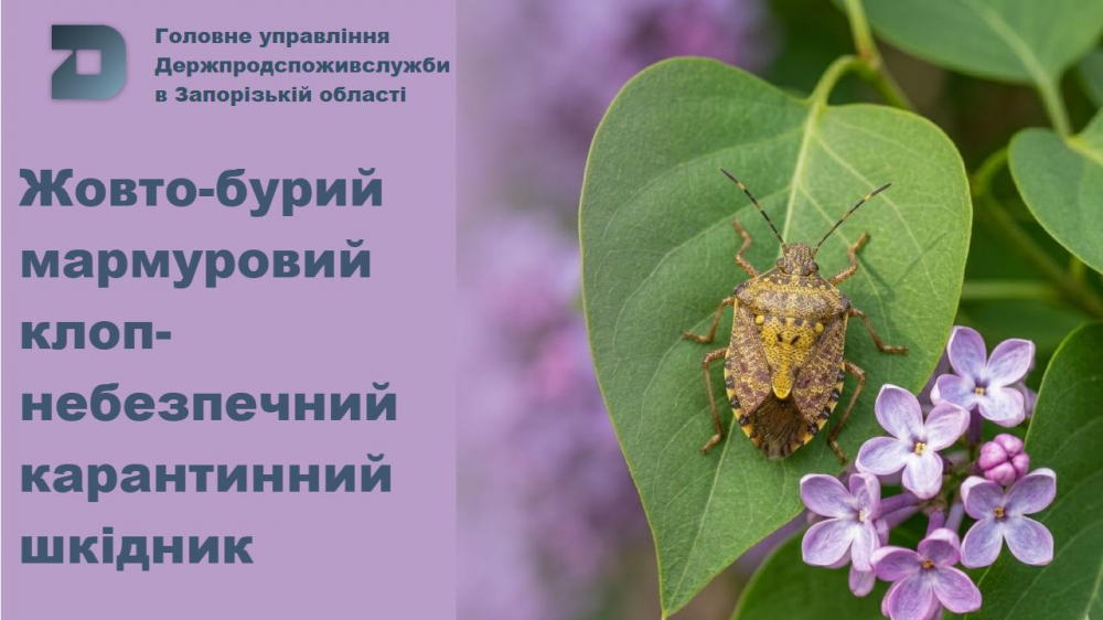 Головне управління Держпродспоживслужбив Запорізькій області