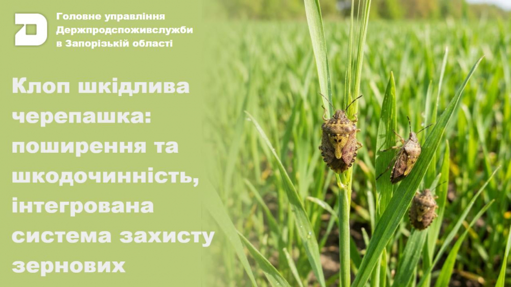 Головне управління Держпродспоживслужбив Запорізькій області