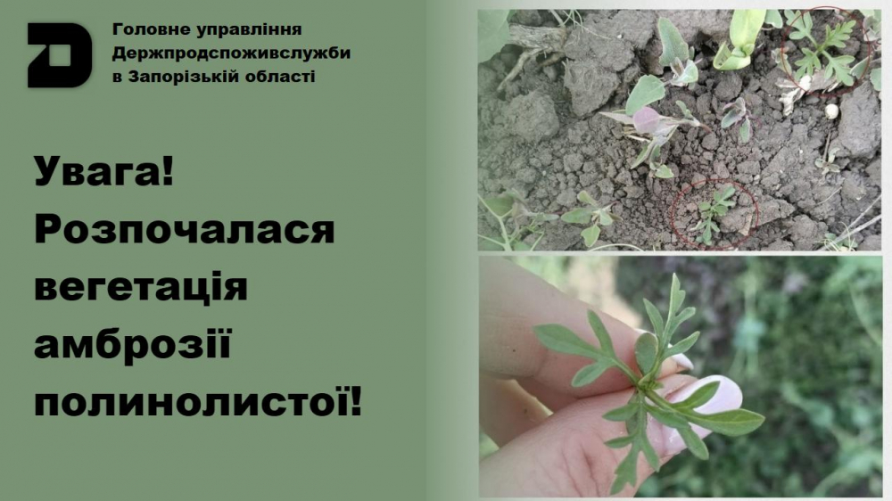 Головне управління Держпродспоживслужбив Запорізькій області