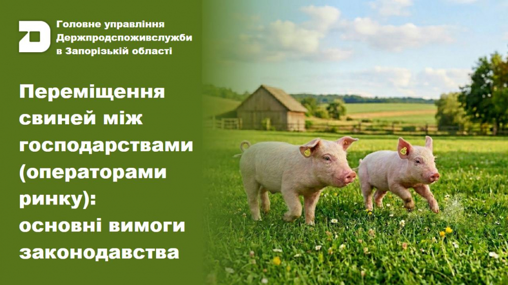 Головне управління Держпродспоживслужбив Запорізькій області