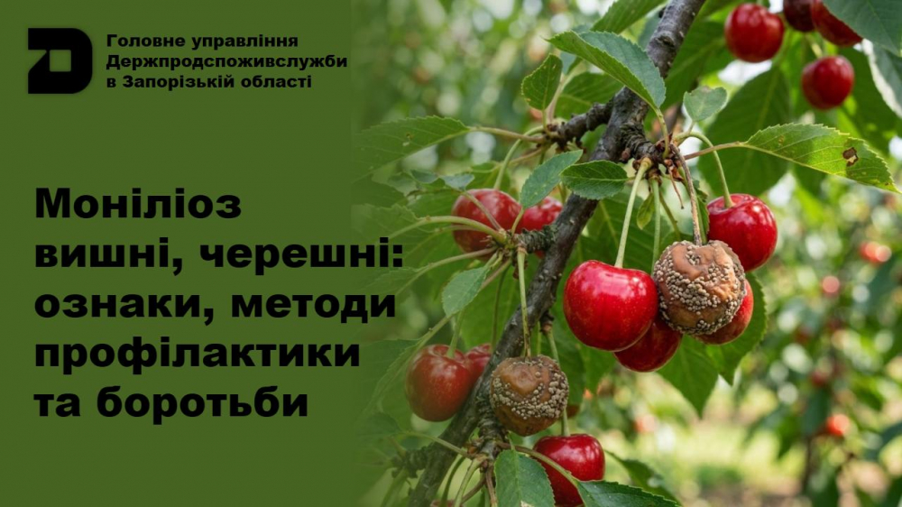 Головне управління Держпродспоживслужбив Запорізькій області