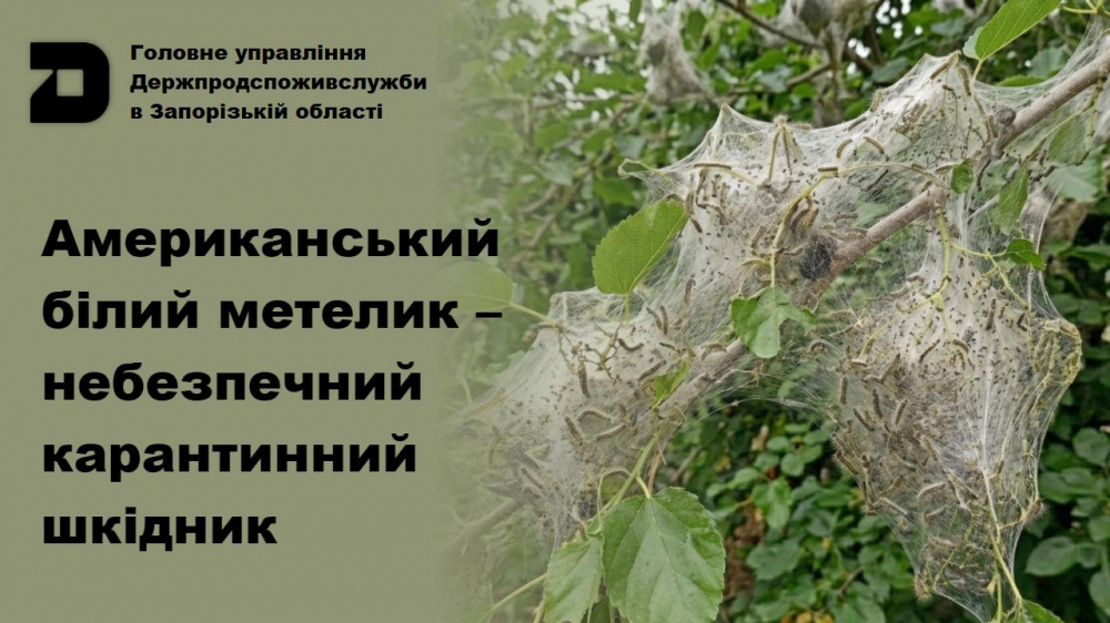 Головне управління Держпродспоживслужбив Запорізькій області