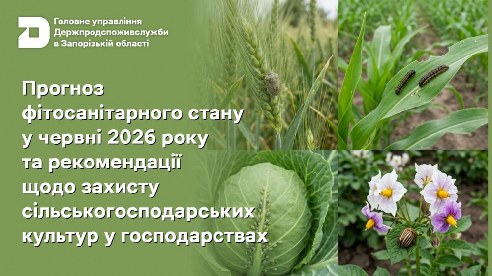 Головне управління Держпродспоживслужбив Запорізькій області